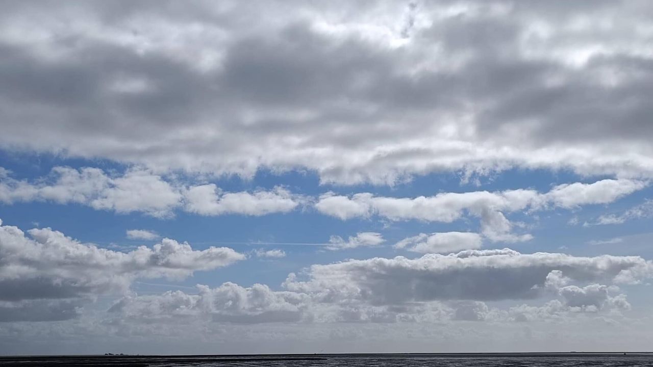 AreaSummer5KM AreaSummer5KM